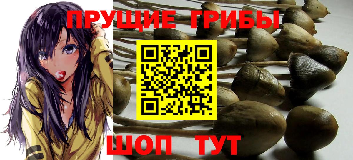 Архангельск  Псилоцибиновые грибы Magic Shrooms  Вход с VPN 