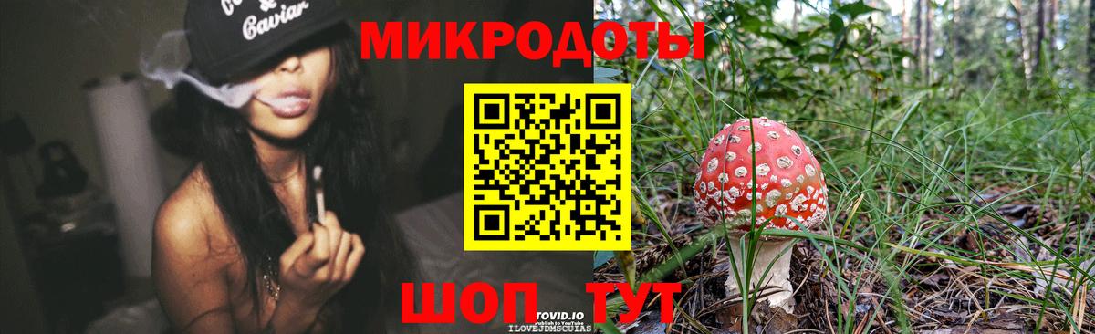 Галлюциногенные грибы GOLDEN TEACHER Архангельск